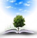 conectados con la bendicion